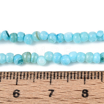 Natural Freshwater Shell Dyed Beads Strands SHEL-T020-29B-02-1