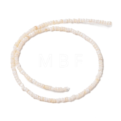 Natural Freshwater Shell Beads Strands SHEL-P017-01B-02-1