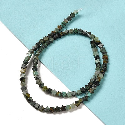 Natural African Turquoise(Jasper) Beads Strands G-G085-B06-01-1