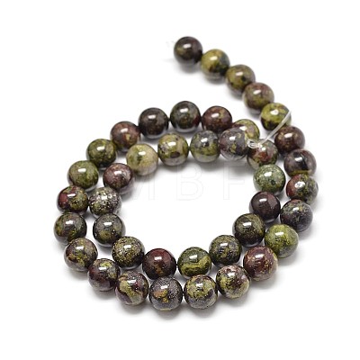 Natural Bloodstone Round Beads Strands G-P075-04-6mm-1