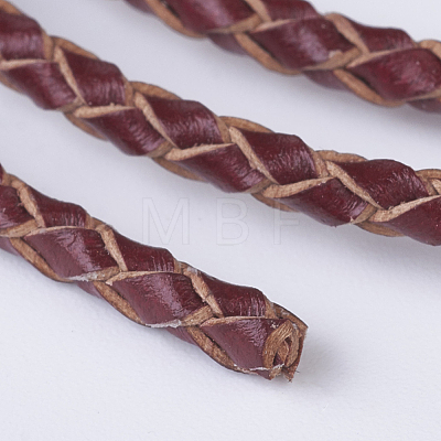 Braided Leather Cords WL-P002-10-A-1