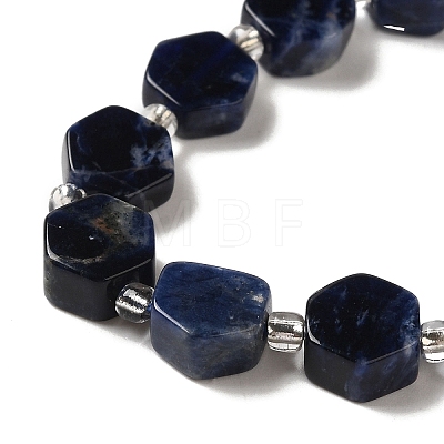 Natural Sodalite Beads Strands G-P534-A11-01-1