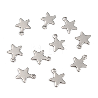 304 Stainless Steel Charms STAS-G190-27P-B-1