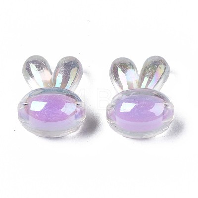 Transparent Acrylic Beads TACR-S135-005-1