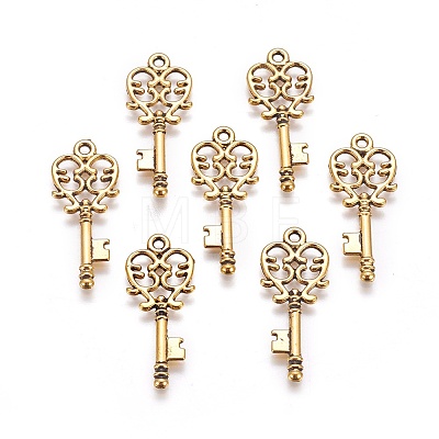 Tibetan Style Alloy Pendants LS-GLF11137Y-1