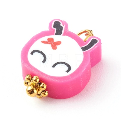 Polymer Clay Charms PALLOY-JF00681-1