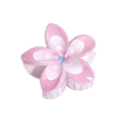 Resin Claw Hair Clips PW-WGCCCD9-05-1