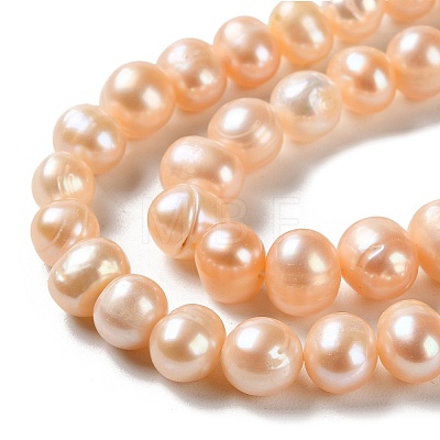 Natural Cultured Freshwater Pearl Beads Strands PEAR-E018-28-1