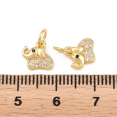 Brass Micro Pave Clear Cubic Zirconia Charms KK-H292-56C-G-1