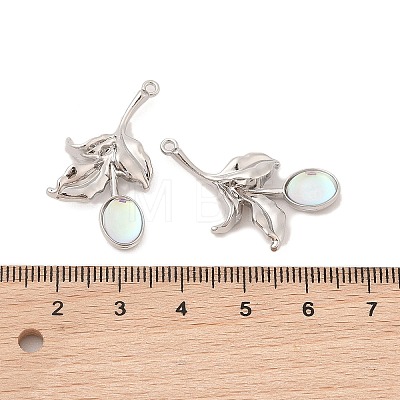 Alloy & Resin Pendants FIND-Z053-04A-03-1