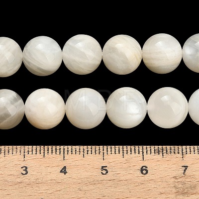 Natural White Moonstone Beads Strands G-L664-A01-10mm-1
