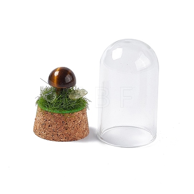 Natural Tiger Eye Mushroom Display Decoration with Glass Dome Cloche Cover G-E588-03F-1