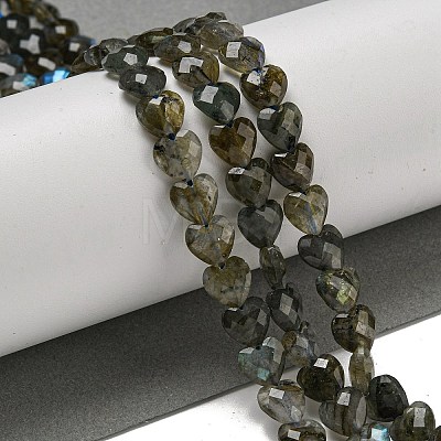 Natural Labradorite Beads Strands G-P544-E01-01-1