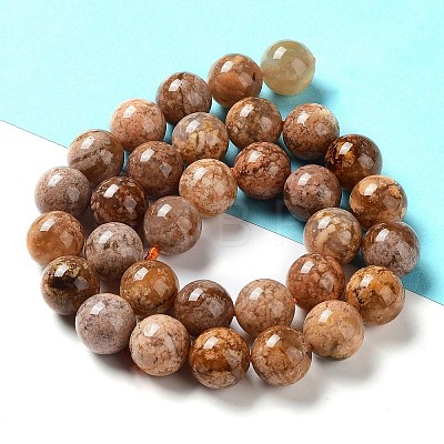 Natural Flower Agate Beads Strands G-B044-A01-04-1