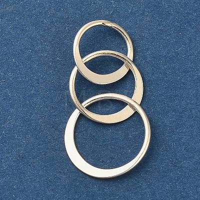 925 Sterling Silver Pendants STER-NH0018-02B-S-1