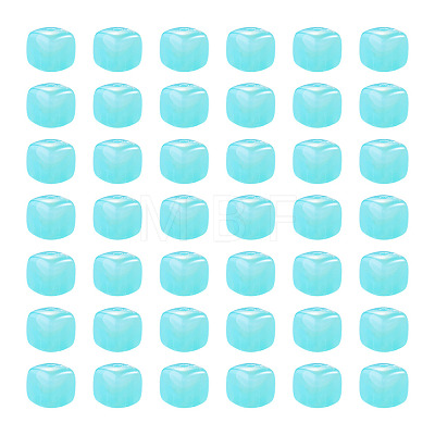60Pcs Transparent Acrylic Beads OACR-TA0004-88F-1