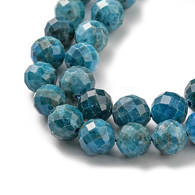 Natural Apatite Beads Strands G-G927-32-9MM-1