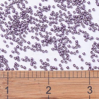 MIYUKI Delica Beads SEED-X0054-DB1173-1