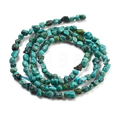 Natural HuBei Turquoise Beads Strands G-B089-B01-01-1