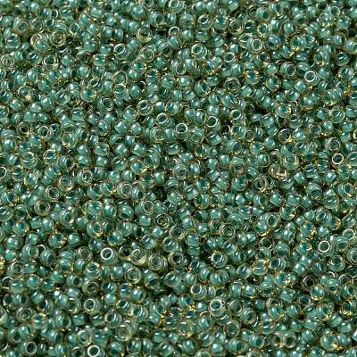 MIYUKI Round Rocailles Beads X-SEED-G009-RR0374-1