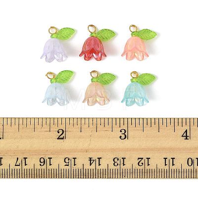 50Pcs Transparent Acrylic Pendants PALLOY-FS00043-03-1