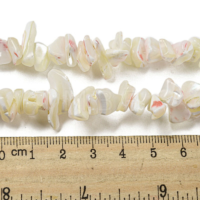 Natural Trochus Shell Beads Strands SSHEL-H072-04-1