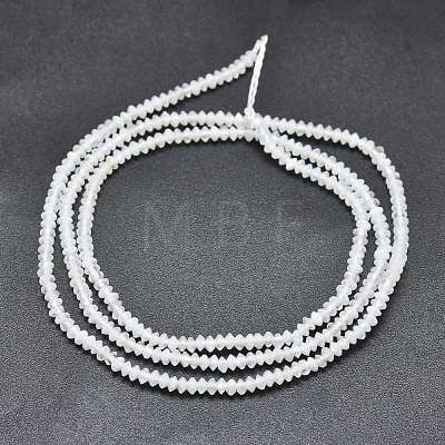 Natural White Moonstone Beads Strands G-F686-15A-01-1