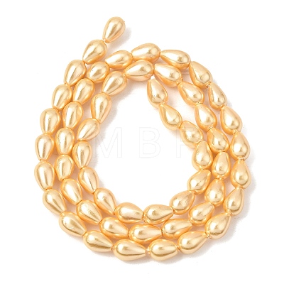 Electroplated Shell Pearl Beads Strands BSHE-C010-01B-1