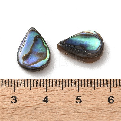 Natural Paua Shell Beads SSHEL-F305-02A-1