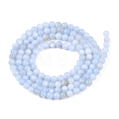 Natural Freshwater Shell Beads Strands X-BSHE-T009A-01F-1