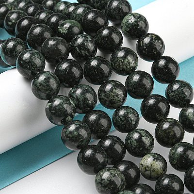 Natural Serpentine Beads Strands G-P504-10mm-01-1