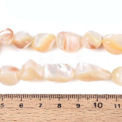 Natural Sea Shell Beads Strands SSHEL-N041-02A-1
