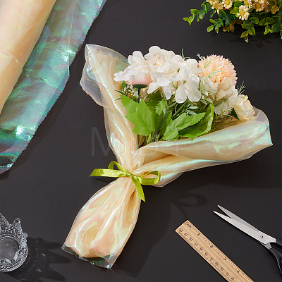 Laser Polyester Mesh Fabric for DIY Crafts DIY-WH0888-06A-1