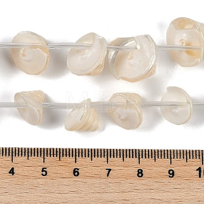 Natural Shell Beads Strands SHEL-K009-11-1