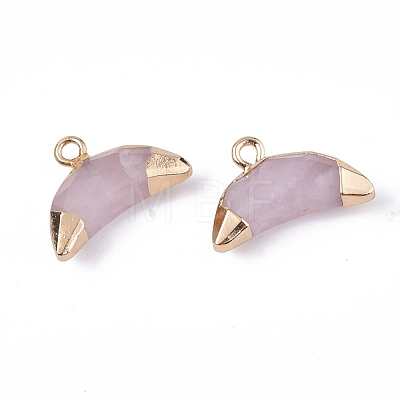 Electroplate Natural Rose Quartz Charms G-S344-48J-1