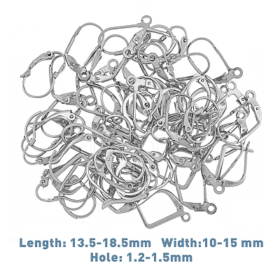 88Pcs 11 Style 316 Surgical Stainless Steel Leverback Earring Findings STAS-HY0001-01-1