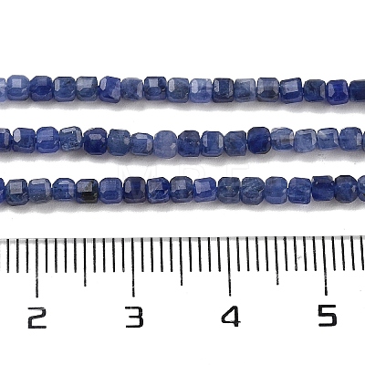 Natural Sodalite Beads Strands G-H042-B08-01-1