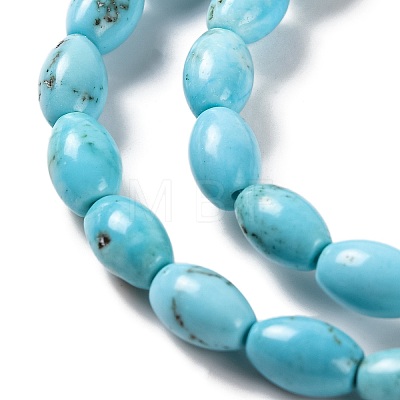 Natural Howlite Beads Strands G-H025-02B-1