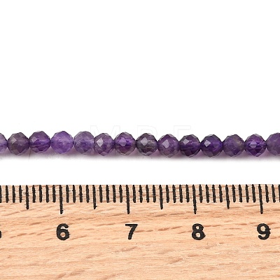 Natural Amethyst Beads Strands G-F460-50-A-1