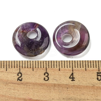 Natural Amethyst Donut/Pi Disc Charms G-G142-02L-1