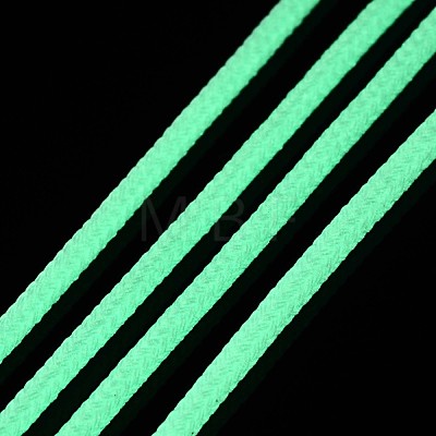 Luminous Polyester Braided Cords OCOR-T015-01B-1