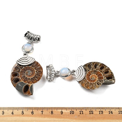 Synthetic Opalite Fossil Snail Pendants G-F062-07-1