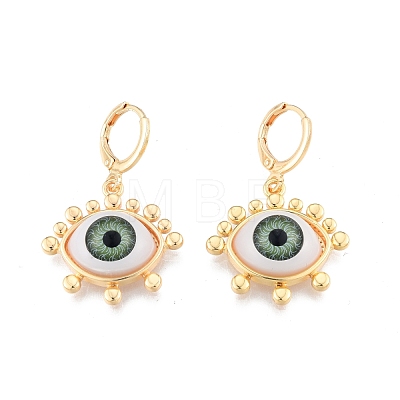 Acrylic Horse Eye Dangle Leverback Earrings EJEW-N012-78-1