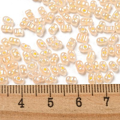 Ceylon Glass Seed Beads SEED-K009-02B-34-1