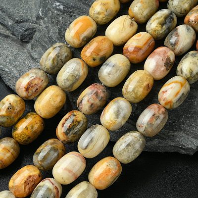 Barrel Shaped Gemstone Natural Crazy Lace Agate Beads Strands G-S114-08-1