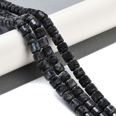 Natural Larvikite Beads Strands G-L604-E07-01-1