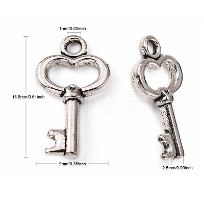Gifts Ideas for Her Tibetan Style Alloy Charms LF11975Y-1
