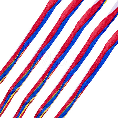 Raffia Ribbon OCOR-TA0004-21B-1
