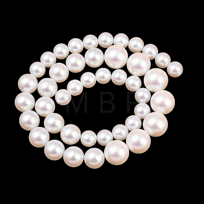 Electroplated Glass Pearl Graduated Beads Strands BSHE-C011-03A-1