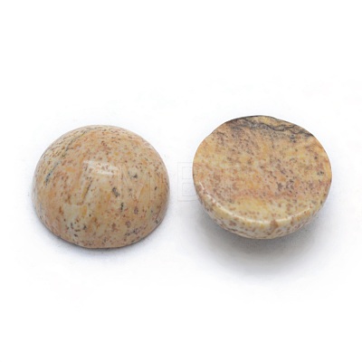 Natural Picture Jasper Cabochons G-P393-R51-8MM-1